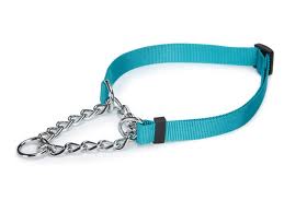 The Martingale Collar for Dogs - The Best Dog Training Collar