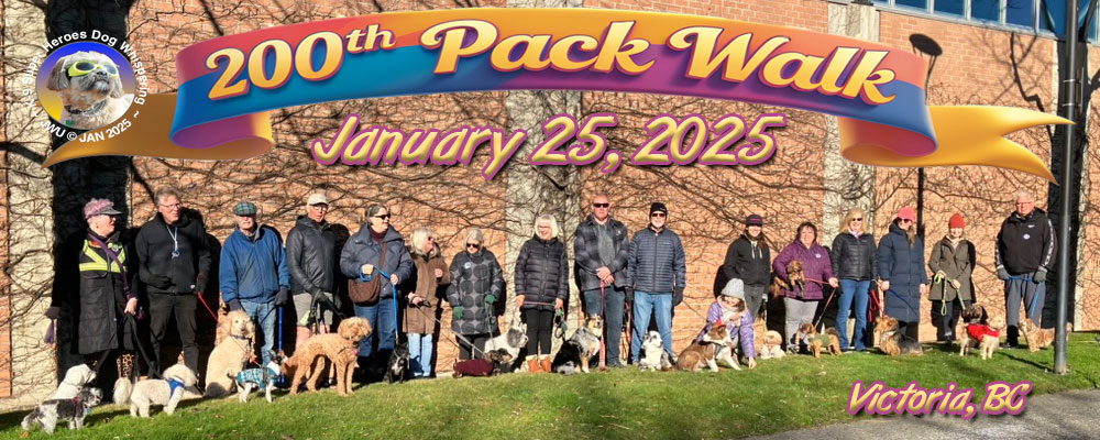 Pack Walks 3 Pack Walk #200