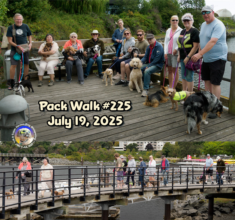 Pack Walks 2 Pack Walk #225