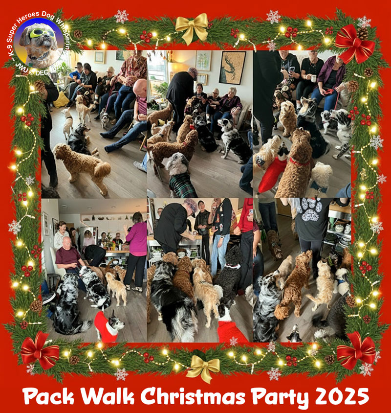 Pack Walks 1 Pack Walk #245 Christmas Park 2025